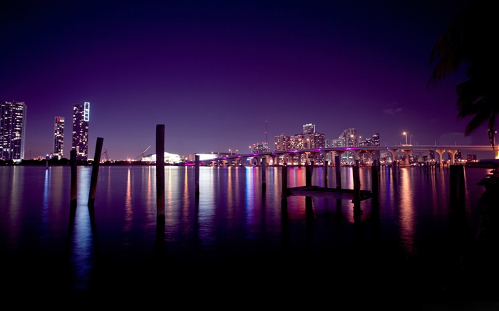 마이애미, 도시, 밤, 강, 고층 빌딩, 조명, 밤, 미국 배경 화면 그림