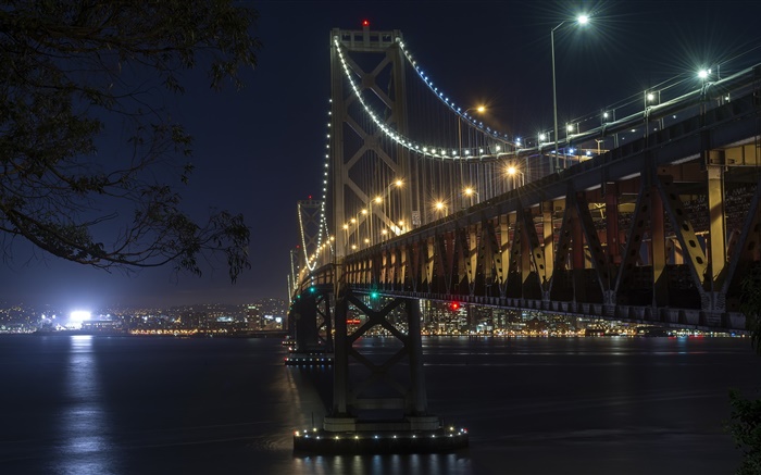 캘리포니아, 샌프란시스코, 다리, 조명, 강, 밤 배경 화면 그림