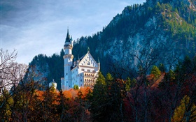 독일, 바바리아, Neuschwanstein Castle, 가을 HD 배경 화면