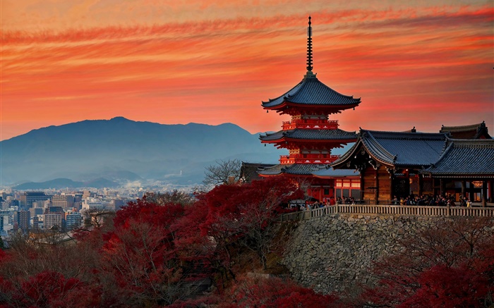 일본, 교토, 사원, 가을, 황혼 배경 화면 그림