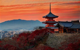 일본, 교토, 사원, 가을, 황혼 HD 배경 화면