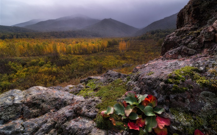 산, 안개, 돌, 숲, 가을 배경 화면 그림