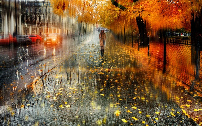 가을, 도시, 비, 나무, 소녀, 도로, 자동차 배경 화면 그림