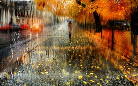 가을, 도시, 비, 나무, 소녀, 도로, 자동차 HD 배경 화면